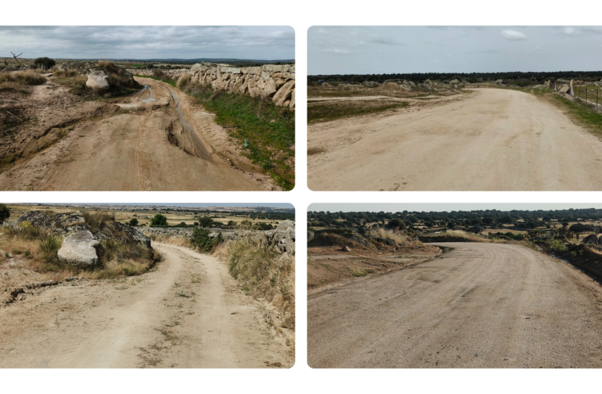 Arreglo y nivelado de caminos municipales