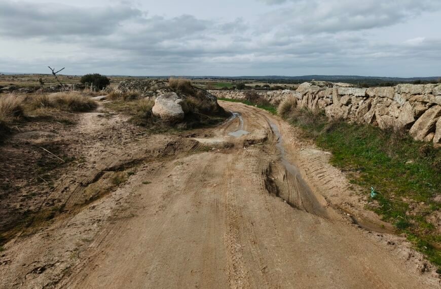 Arreglo y nivelado de caminos municipales